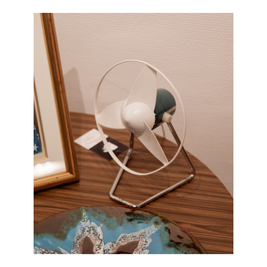 Ventilateur CALOR 