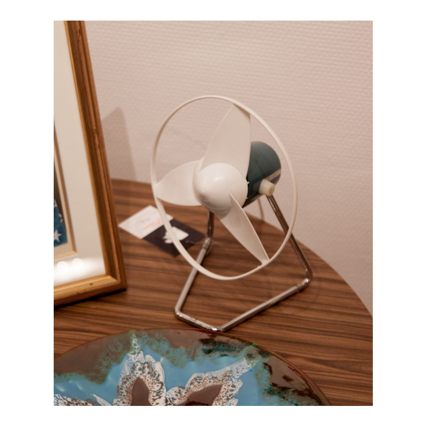 Ventilateur CALOR 