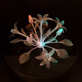 Lampe globe Plexigas et fibre optique